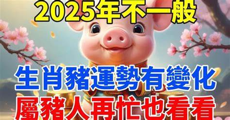 數豬|2025年屬豬運勢及運程 屬豬的人2025年每月運程